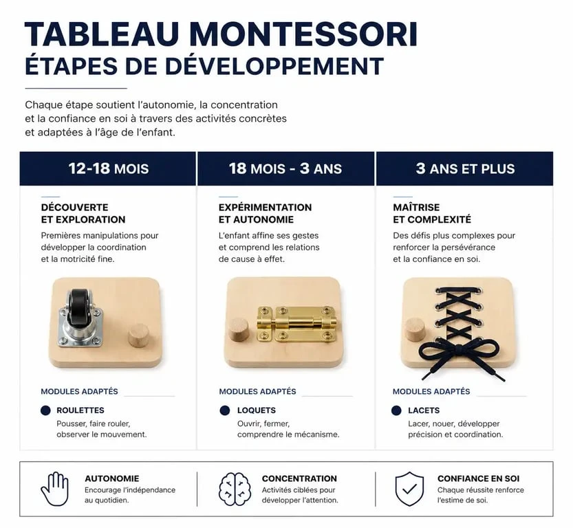 Infographie des étapes de développement et modules recommandés pour un tableau Montessori selon l'âge de l'enfant